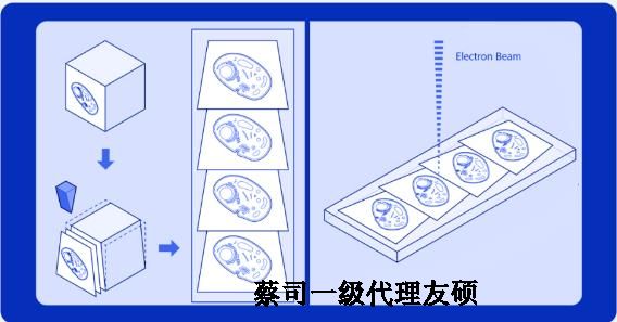眉山蔡司眉山扫描电镜