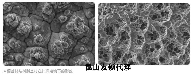 眉山蔡司眉山扫描电镜