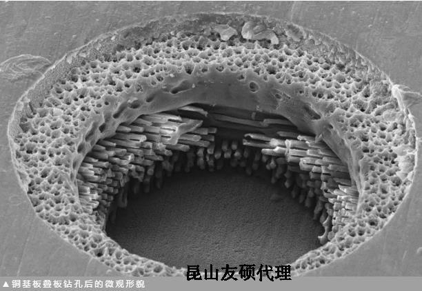 眉山蔡司眉山扫描电镜